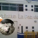 Tragedia en Texmelucan: un menor muere tras caerle un árbol mientras viajaba en motocicleta