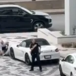 ¿Madres buscadoras se disfrazaron del Pato Merlín? FALSO: siguen sin ser recibidas enPalacio Nacional