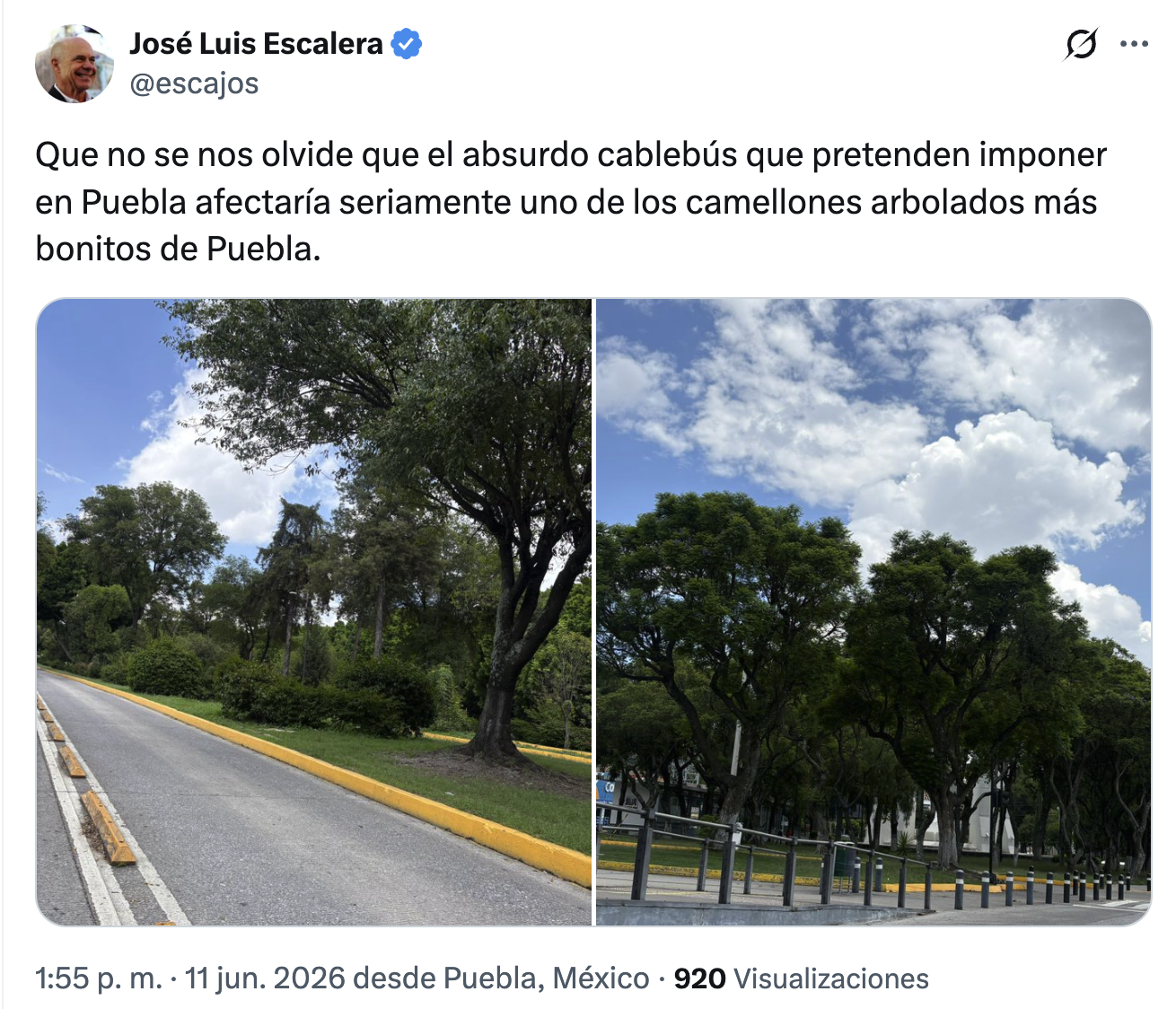 ¿El Cablebús contempla la tala del camellón del Bulevar 5 de Mayo?; FALSO: el proyecto aún no tiene trazo definitivo