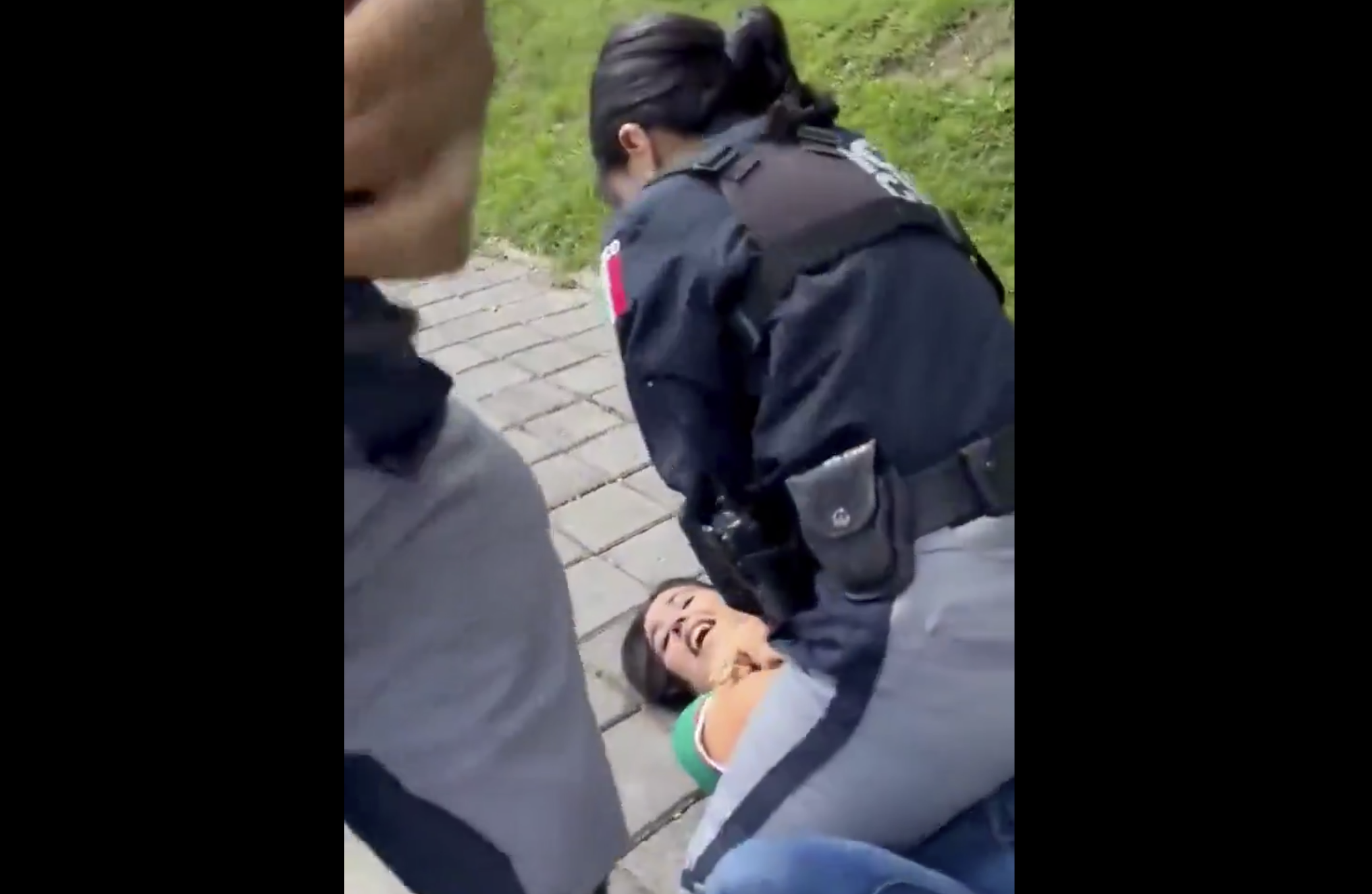 Policías de San Andrés Cholula golpean a madre frente a sus hijos en zona familiar: ¿protección o abuso de autoridad?