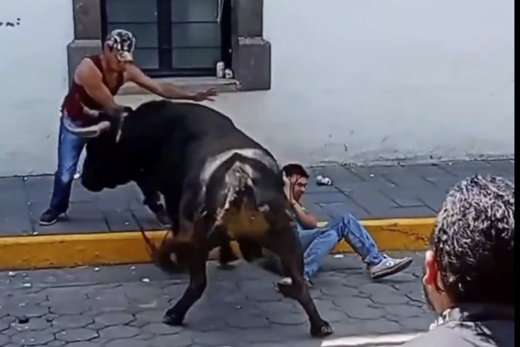 VIDEO: Dos albañiles corneados por toro en la pamplonada de Amaxac, Tlaxcala