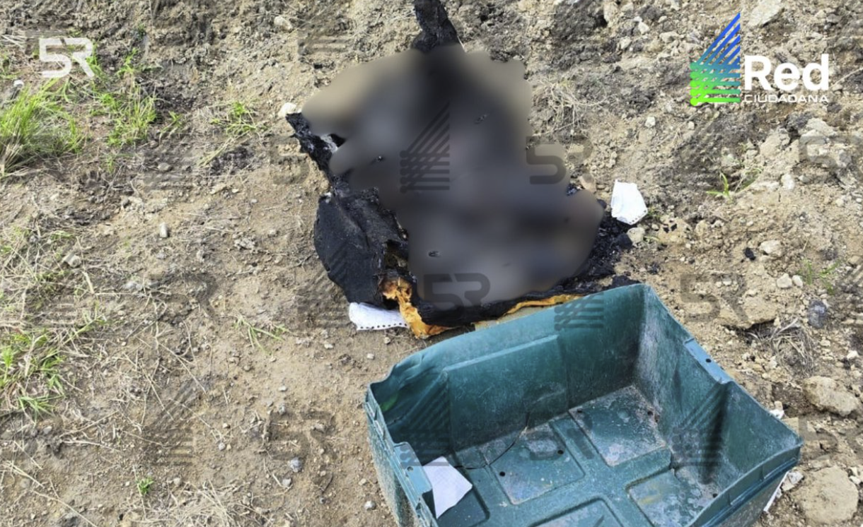 ACTUALIZACIÓN: investigan si corresponden a un torso, estaban en un contenedor de plástico