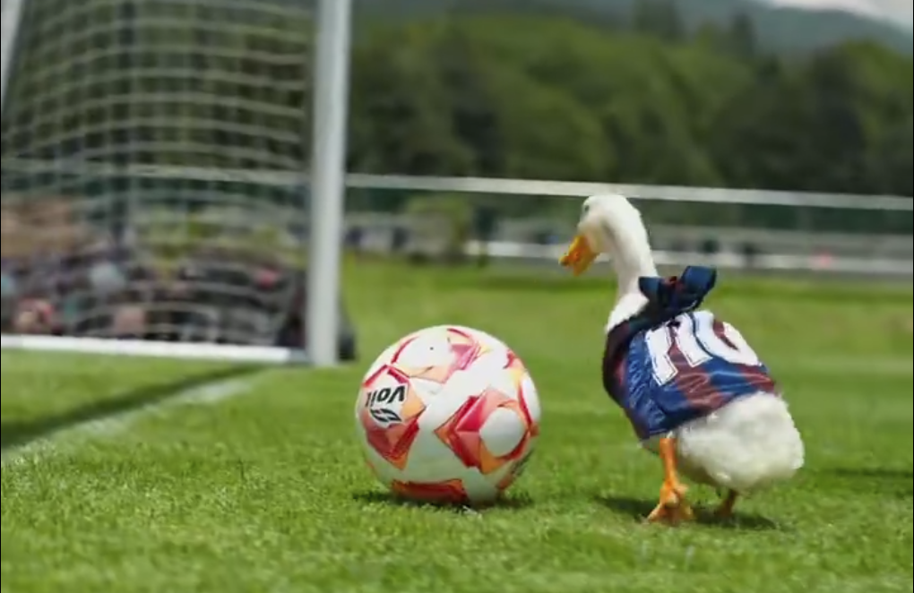Atlante FC se cuelga del “Pato Merlín” y enciende debate en redes sociales