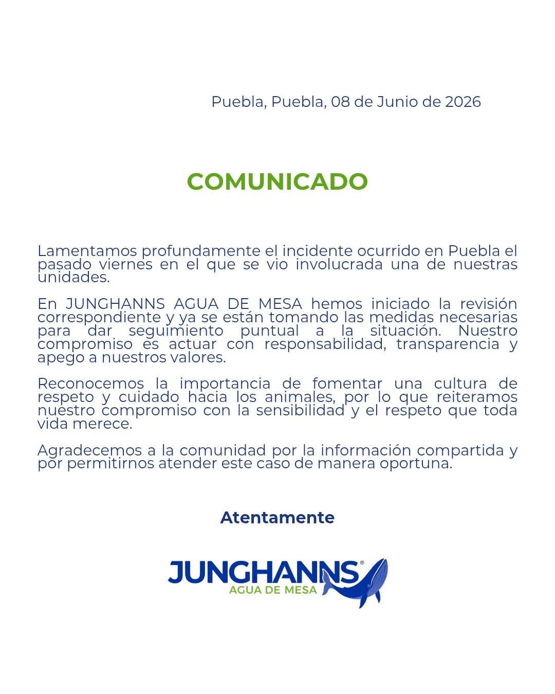 Junghanns admite atropello de perro en Puebla, pero oculta si sancionó al conductor