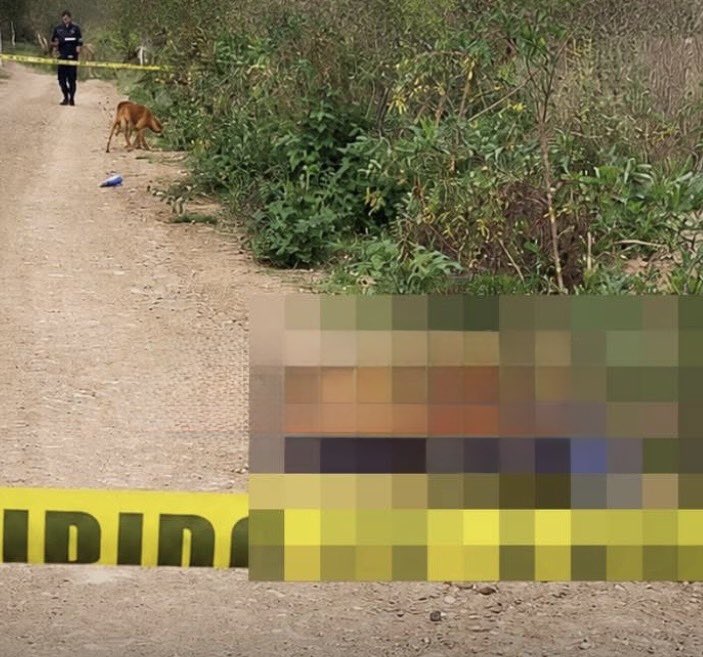 1 tonelada incautada: enfrentamiento y aseguramiento millonario de droga sacuden la Sierra Norte de Puebla