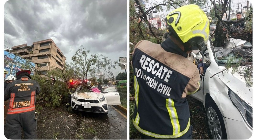 Identifican a mujer que murió aplastada por un árbol durante tormenta en Puebla: un llamado urgente a la prevención urbana