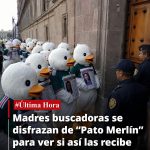 ¿Cablebús de Puebla será ecocida? FALSO: solo intervendrán 1.6% de superficie en los puntos donde estarán sus estaciones