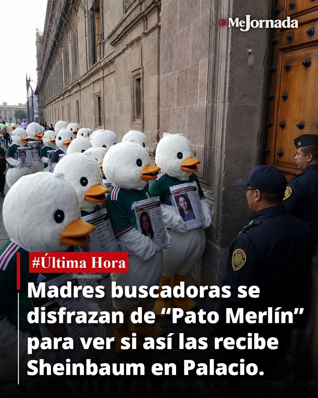 ¿Madres buscadoras se disfrazaron del Pato Merlín? FALSO: siguen sin ser recibidas enPalacio Nacional