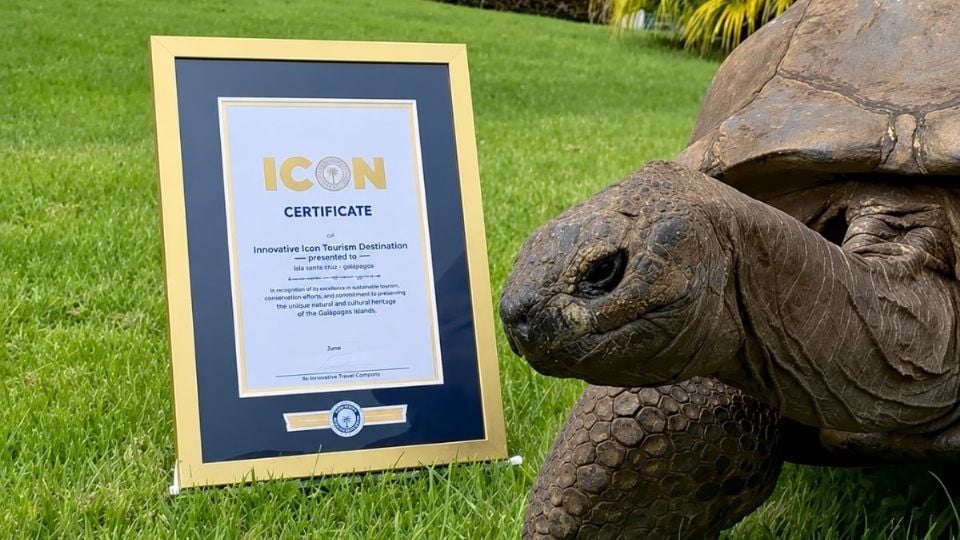 Jonathan, la tortuga que desafía el tiempo con 194 años y récord Guinness