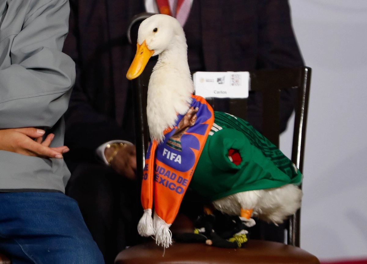 La familia Gómez recupera la marca del pato Merlín, símbolo inesperado del Mundial 2026