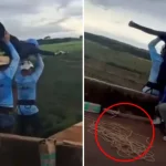 Las teorías conspirativas que rodean la muerte de Oliver Tree; no han podido identificar su cuerpo