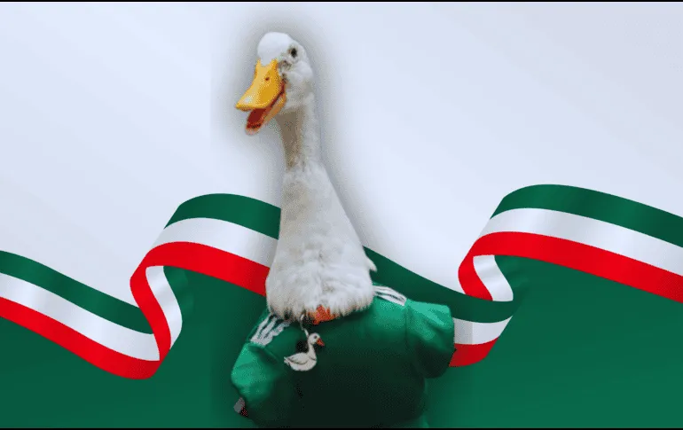FIFA se cuelga del fenómeno viral: convierte al pato Merlín en embajador oficial de la Ciudad de México