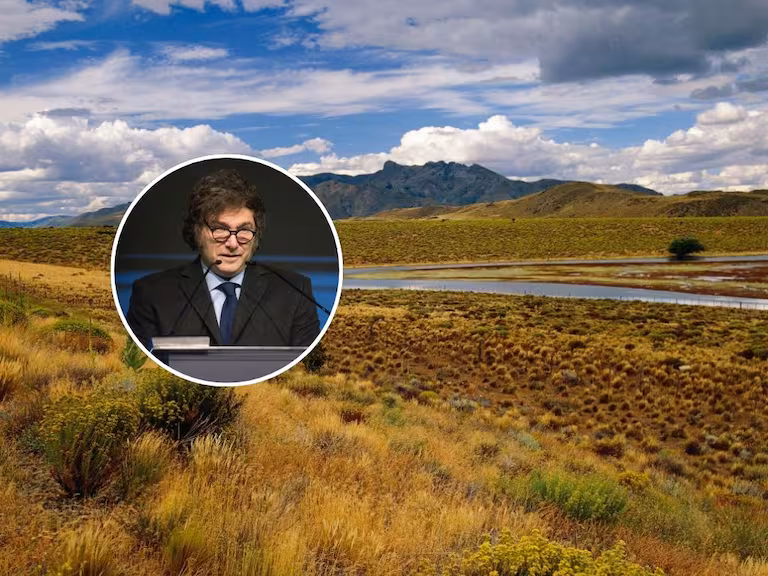 Argentina busca eliminar límites a la compra de tierras rurales por extranjeros: ¿riesgo para la soberanía o impulso económico?