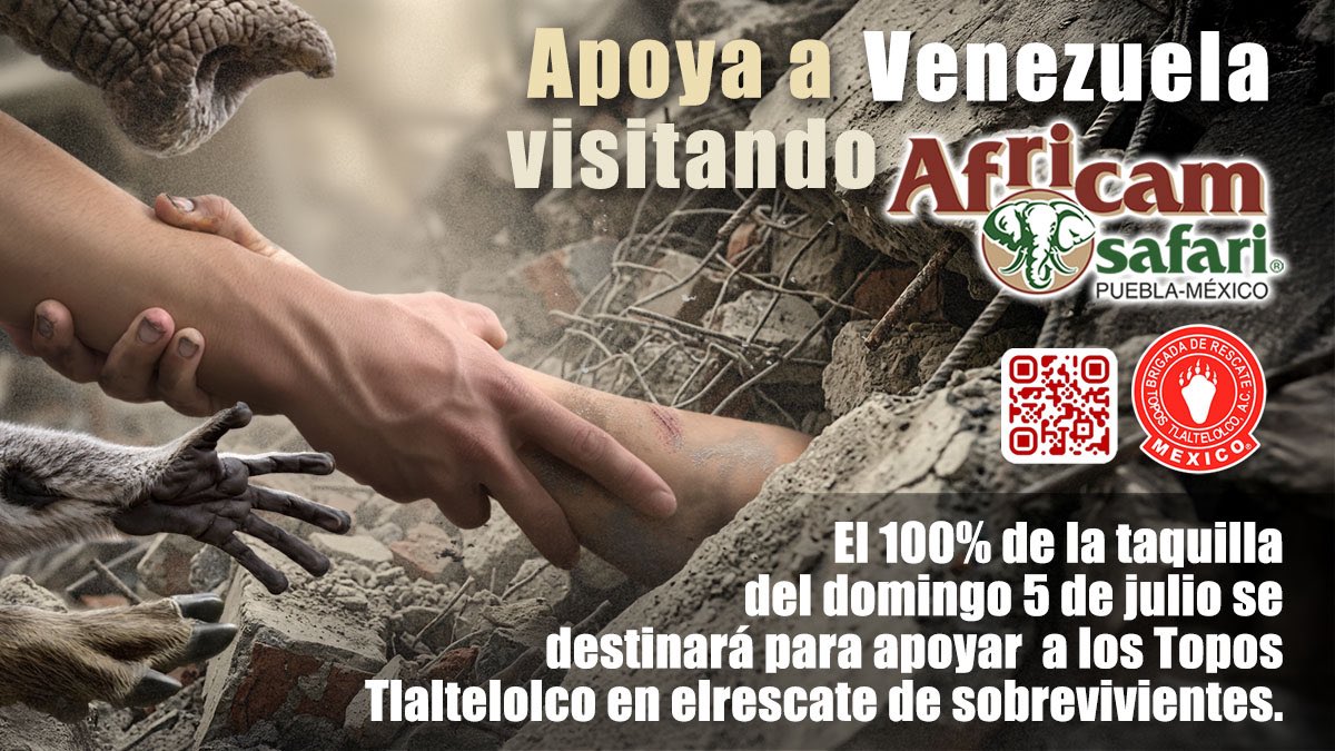 Africam Safari destinará toda la taquilla del 5 de julio para apoyar rescate en Venezuela