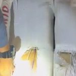 VIDEO: Presuntos carteristas siembran miedo en ruta alimentadora de RUTA; chofer denuncia amenazas