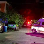 Seis perros envenenados en Atlixco: Fiscalía investiga el cruel ataque en plena madrugada