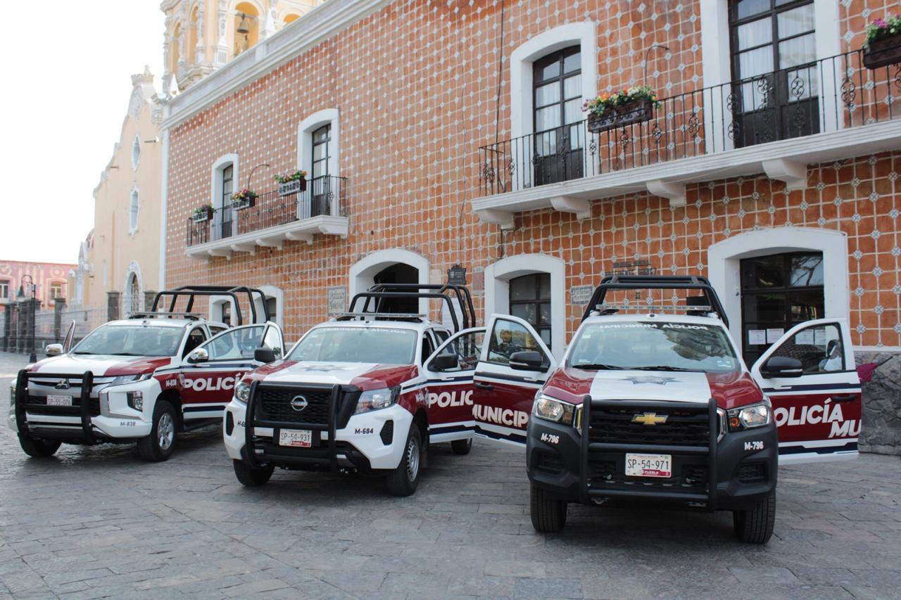 Seis perros envenenados en Atlixco: Fiscalía investiga el cruel ataque en plena madrugada