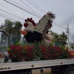 Mujer haitiana se lanza de edificio en Tapachula tras sismo de 7.4 en Chiapas